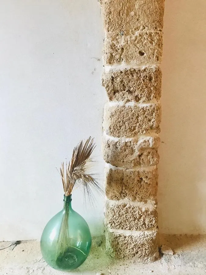 Terrazza Del Convento - Cozy Apartment With Seeview Private Terrace Alghero 0*,  Italy